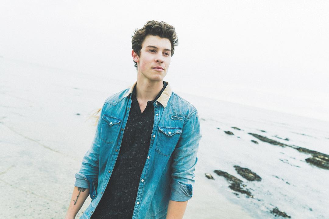 Shawn Mendes kao Disney zvezda? To je zapravo moglo da se desi
