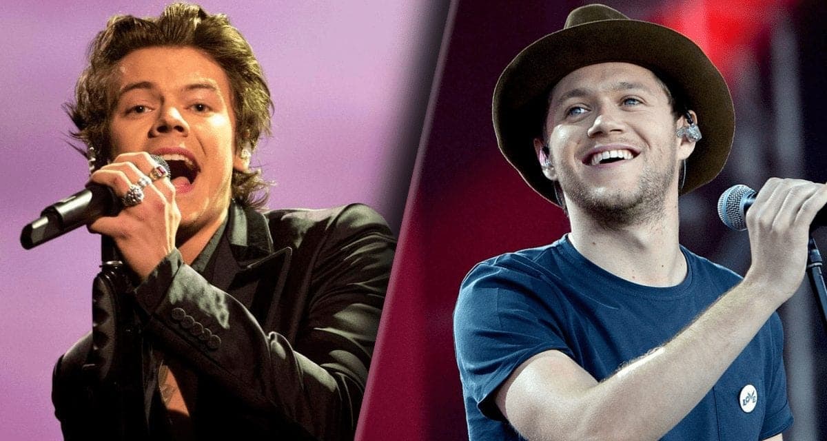 Snimak koji je fanovima ulepšao dan: Niall Horan gledao koncert Harry Stylesa uživo