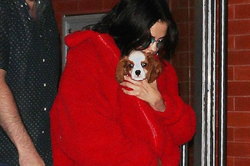Selena Gomez prvi put u javnosti nakon vesti o transplataciji bubrega