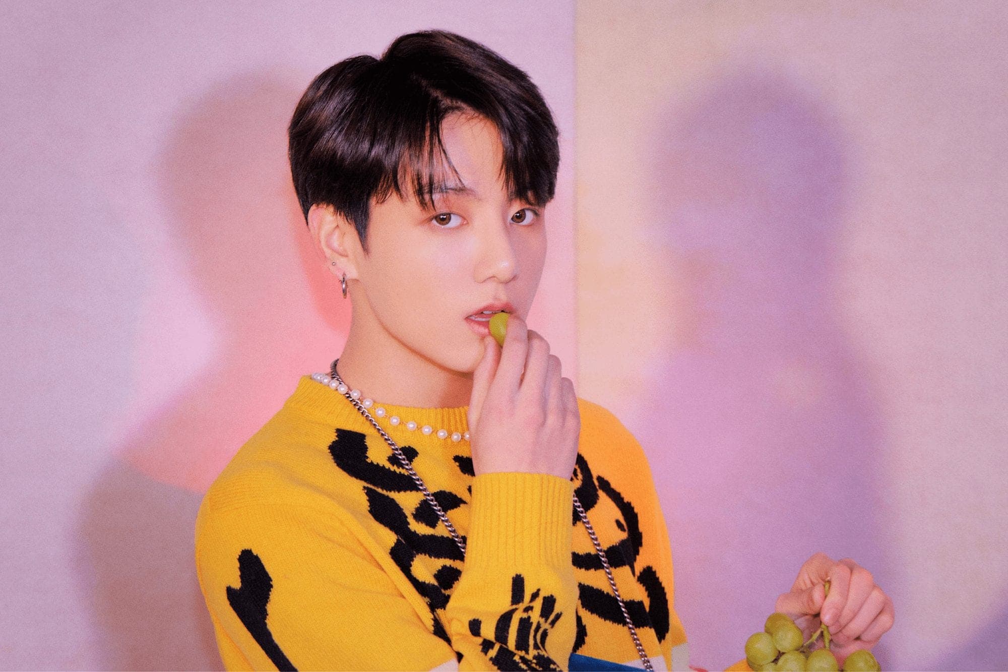 Jungkook skočio u publiku kako bi pozdravio fana u kolicima