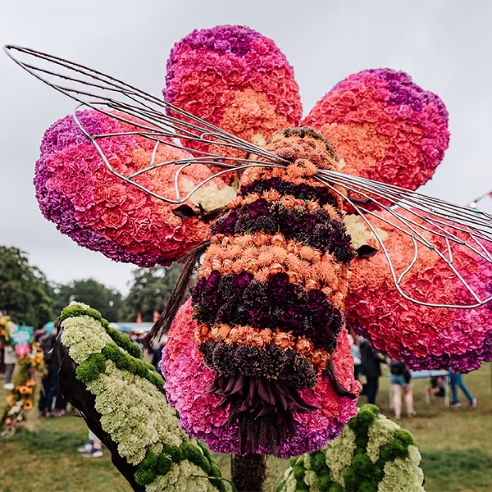 lolla berlin